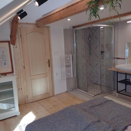 Studio Blizko Centra, Zilinska 20 Bratislava Eksteriør billede
