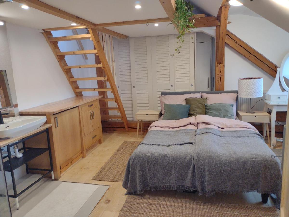 Studio Blizko Centra, Zilinska 20 Bratislava Eksteriør billede